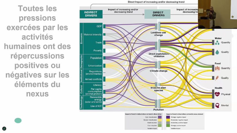 Rapport Nexus de l'Ipbes - Hélène Soubelet